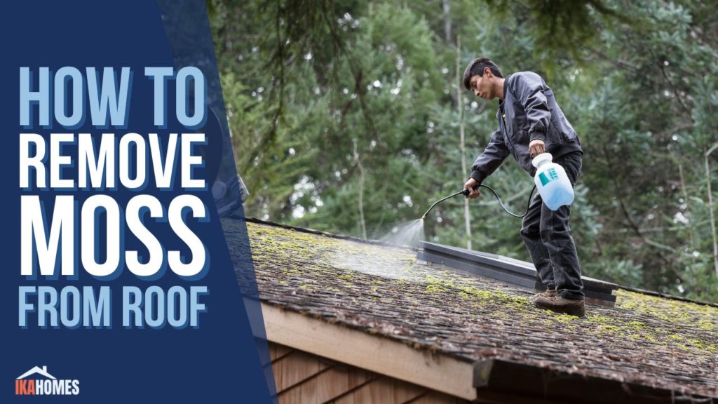 How to remove moss from roof
