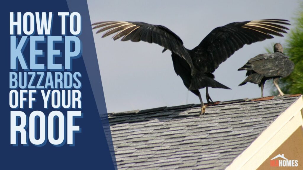 how to keep buzzards off your roof